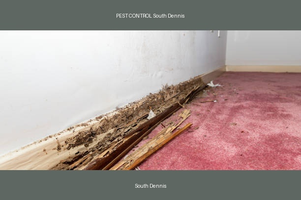 PEST CONTROL South Dennis
